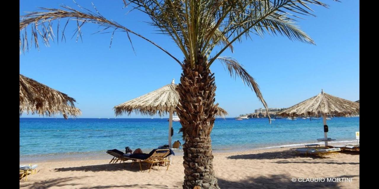 Sharm Dreams Vacation Club - Aqua Park 호텔 외부 사진 El Alamein beach